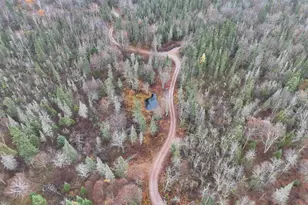 4571 Forest Rd 609, Finland, MN 55603 - Photo 5