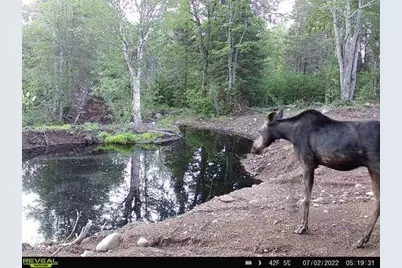 4571 Forest Rd 609, Finland, MN 55603 - Photo 25