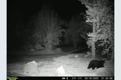 4571 Forest Rd 609, Finland, MN 55603 - Photo 29