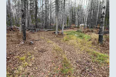 4002 Shiloh Tr, Ely, MN 55771 - Photo 13