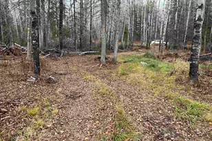 4002 Shiloh Trail, Ely, MN 55771 - Photo 13