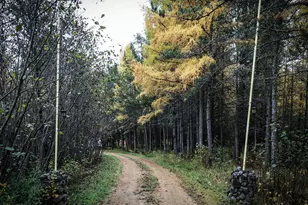 7839 Stromberg Rd, Embarrass, MN 55732 - Photo 1