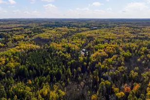 1365 S White Iron Rd, Ely, MN 55731 - Photo 83