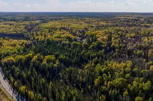 1365 S White Iron Rd, Ely, MN 55731 - Photo 85