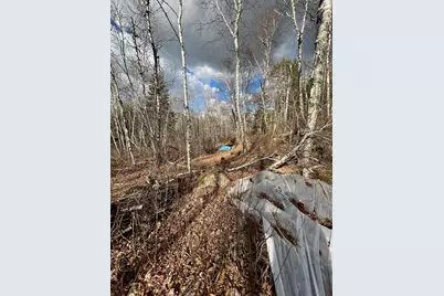 Tbd Wilderness Way Road, Cook, MN 55723 - Photo 11