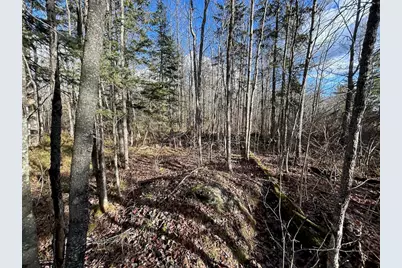 Tbd Wilderness Way Road, Cook, MN 55723 - Photo 13