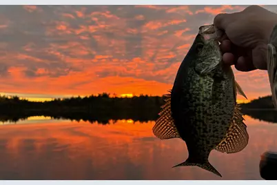 Tbd Wilderness Way Road, Cook, MN 55723 - Photo 1