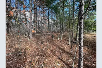 Tbd Wilderness Way Road, Cook, MN 55723 - Photo 17