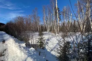 118 Rollins Ridge, Tofte, MN 55615 - Photo 3