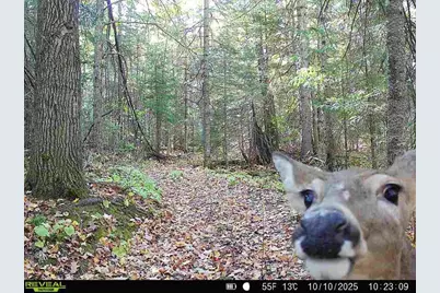 6692 County Rd C, South Range, WI 54874 - Photo 31