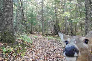 6692 County Rd C, South Range, WI 54874 - Photo 31