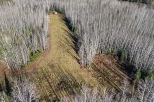 4017 Hwy 25, Iron, MN 55751 - Photo 83