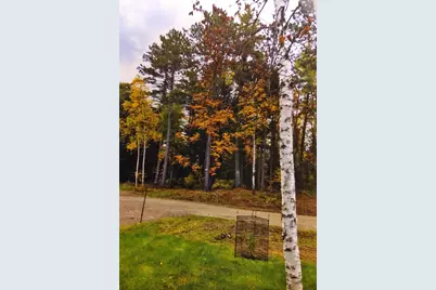 1346 Bear Head State Park Rd, Ely, MN 55731 - Photo 37