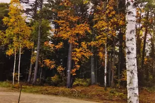 1346 Bear Head State Park Rd, Ely, MN 55731 - Photo 37