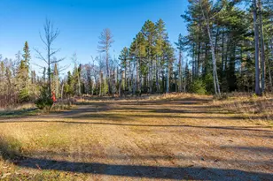 1346 Bear Head State Park Rd, Ely, MN 55731 - Photo 11