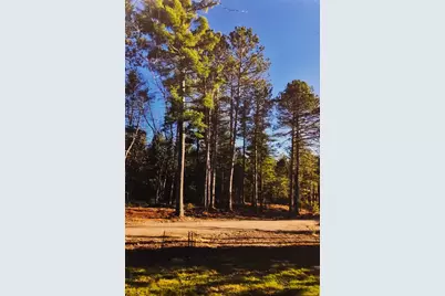 1346 Bear Head State Park Rd, Ely, MN 55731 - Photo 29