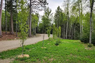 1346 Bear Head State Park Rd, Ely, MN 55731 - Photo 25