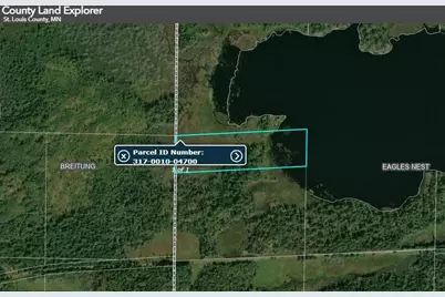 Xxxx Murray Forest Rd, Ely, MN 55731 - Photo 5