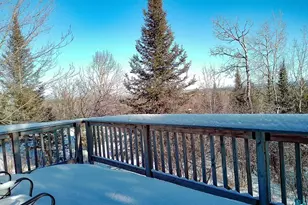 28 Caps Trail, Lutsen, MN 55612 - Photo 45