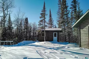 28 Caps Trail, Lutsen, MN 55612 - Photo 57