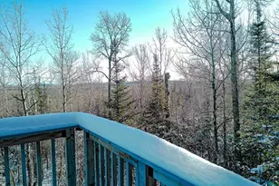 28 Caps Trail, Lutsen, MN 55612 - Photo 43