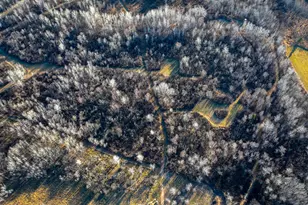 6014 Brown Rd, Kettle River, MN 55757 - Photo 41