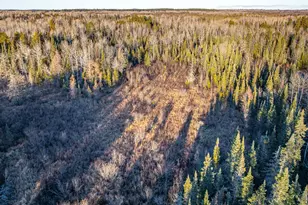 8359 Hwy 135, Embarrass, MN 55732 - Photo 57