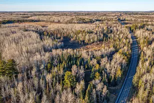 8359 Hwy 135, Embarrass, MN 55732 - Photo 47