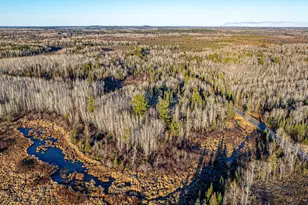 8359 Hwy 135, Embarrass, MN 55732 - Photo 45