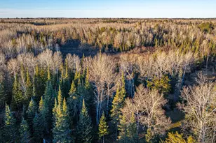 8359 Hwy 135, Embarrass, MN 55732 - Photo 61