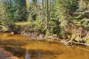 41836 Woodland Ln, Marengo, WI 54855 - Photo 45