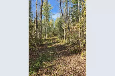 41836 Woodland Ln, Marengo, WI 54855 - Photo 47