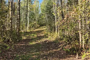 41836 Woodland Ln, Marengo, WI 54855 - Photo 47