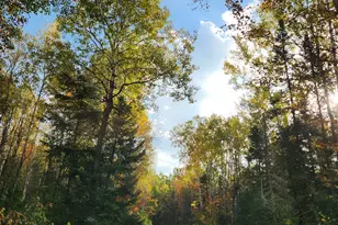 41836 Woodland Ln, Marengo, WI 54855 - Photo 41