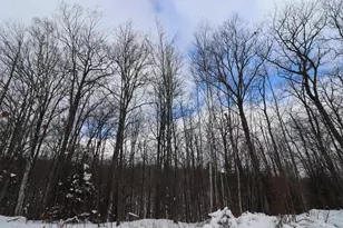 85455 Happy Hollow Rd, Bayfield, WI 54814 - Photo 5