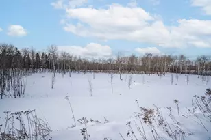 42Xa Stebner Rd, Hermantown, MN 55811 - Photo 17