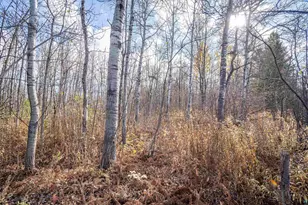 42Xb Stebner Rd, Hermantown, MN 55811 - Photo 3