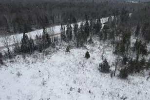 Tbd County Hwy E, Bennett, WI 54873 - Photo 3