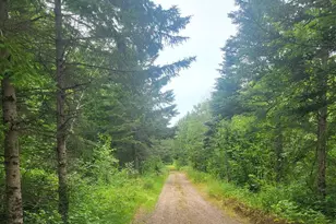 6100 Herranen Rd, Cromwell, MN 55726 - Photo 11