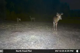 6100 Herranen Rd, Cromwell, MN 55726 - Photo 5