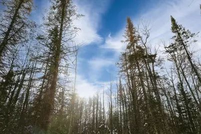 6100 Herranen Rd, Cromwell, MN 55726 - Photo 25