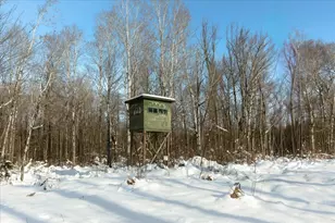 6100 Herranen Rd, Cromwell, MN 55726 - Photo 43