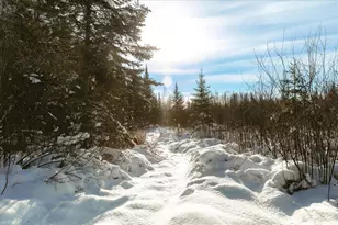 6100 Herranen Rd, Cromwell, MN 55726 - Photo 47