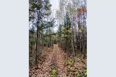 Tbd Echo Tr, Orr, MN 55771 - Photo 3