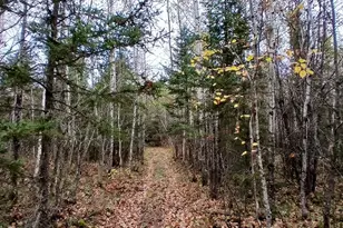 Tbd Echo Trail, Orr, MN 55771 - Photo 3