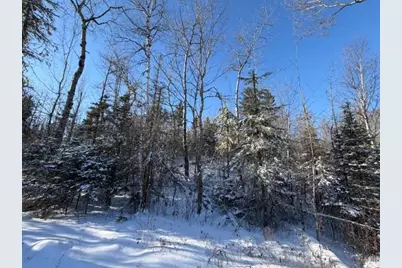 1152 Fernberg Rd, Ely, MN 55731 - Photo 19