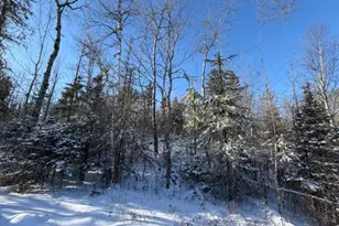 1152 Fernberg Rd, Ely, MN 55731 - Photo 19