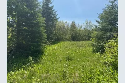 14Xx Tom Lake Rd, Hovland, MN 55606 - Photo 7