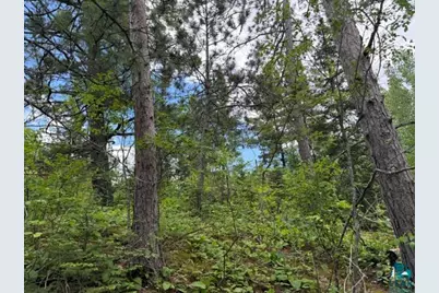 Tbd Trezona Dr, Ely, MN 55731 - Photo 5
