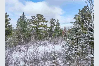 Tbd Trezona Dr, Ely, MN 55731 - Photo 11